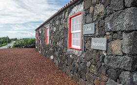 Casa Medronho